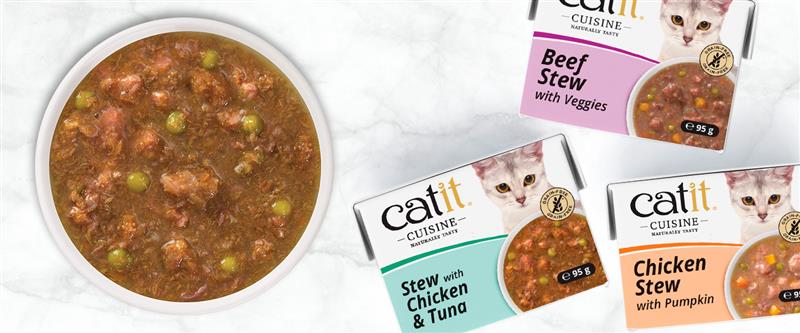 Do Cats Need Wet Food? Benefits of Wet vs. Dry Cat Food