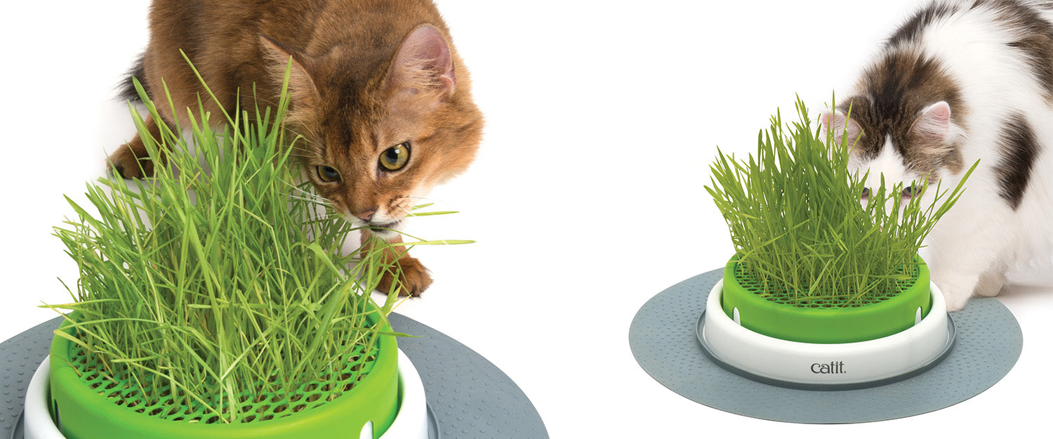 Catit Senses 2.0 Cat Grass Planter, Interactive Cat Toys