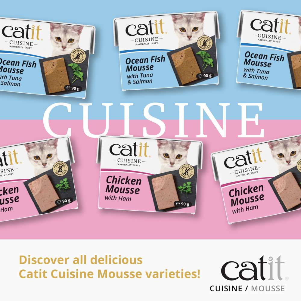 Catit Cuisine Mousse