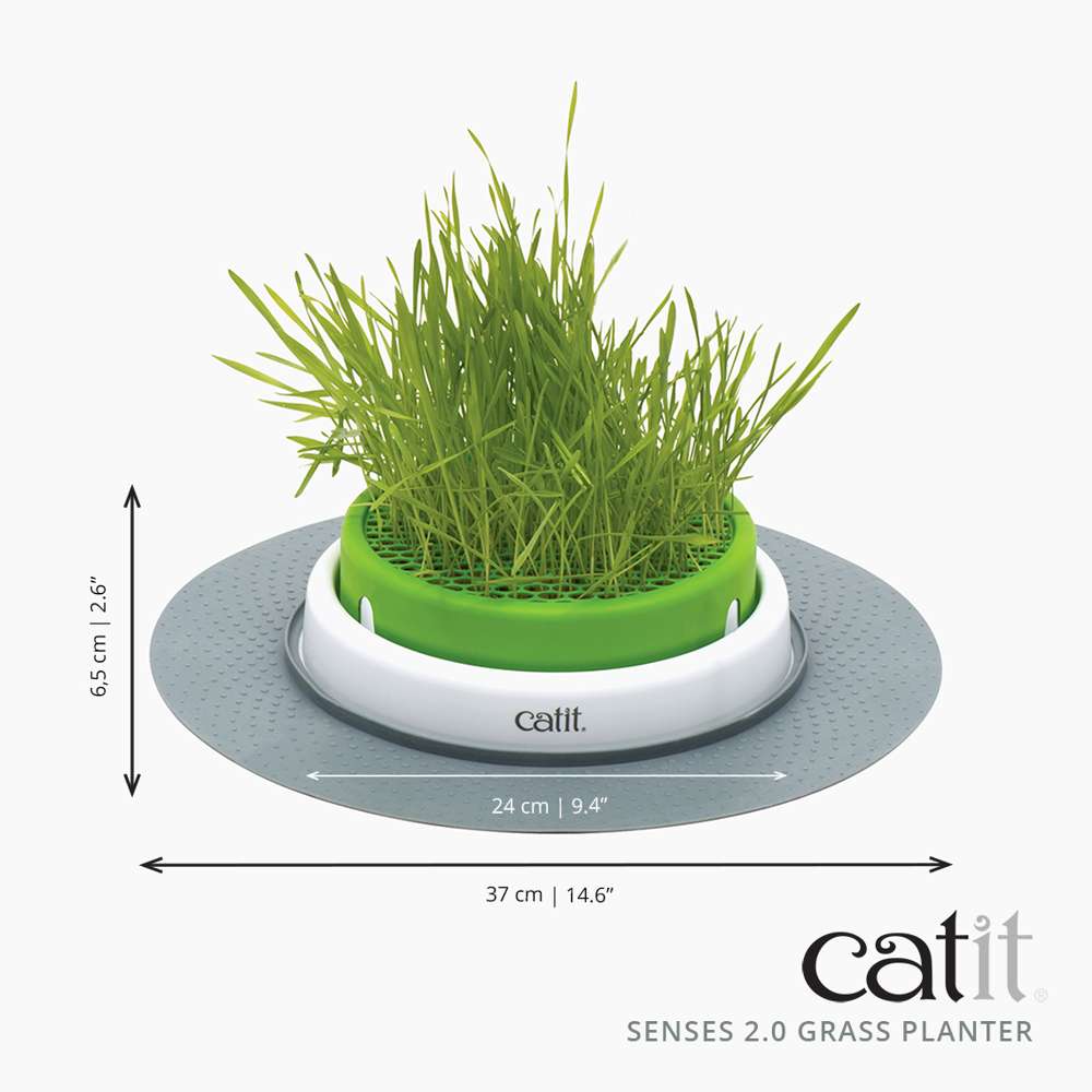 Catit Senses Cat Grass Planter