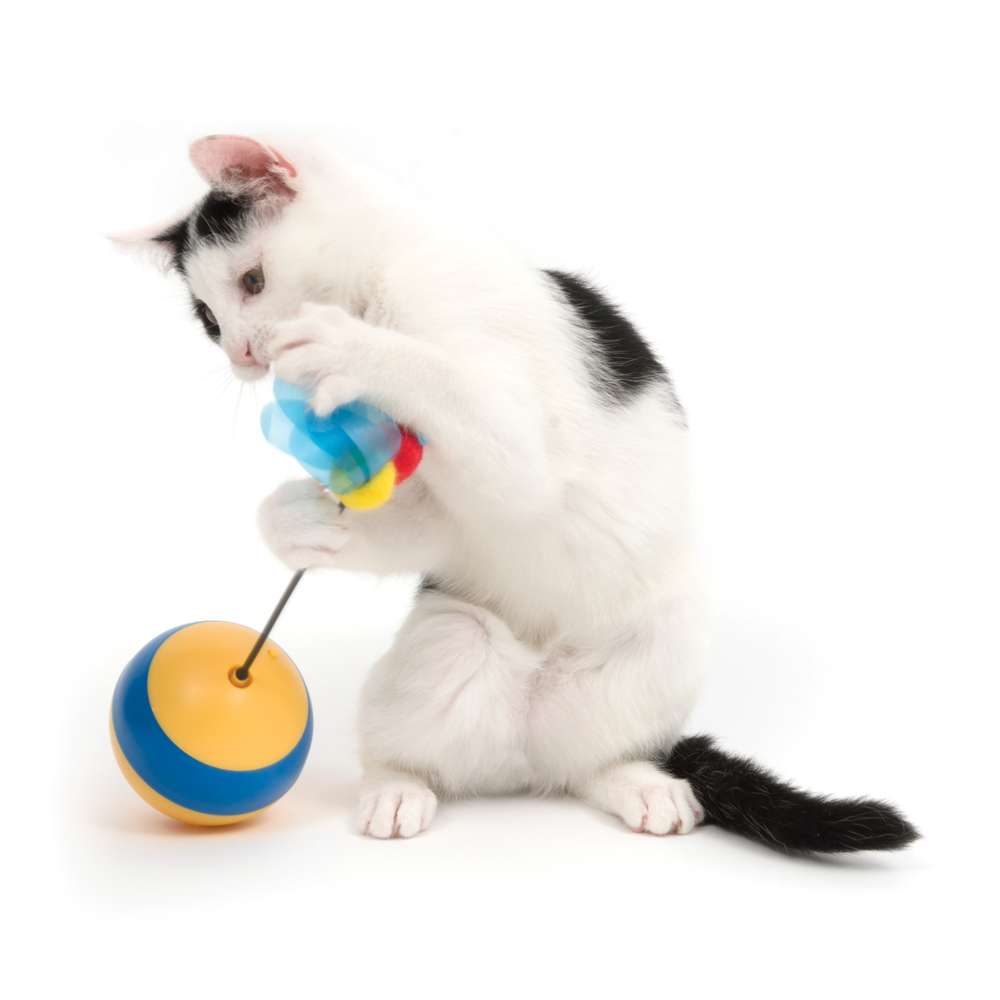 Catit Play Spinning Bee Treat & Laser Toy