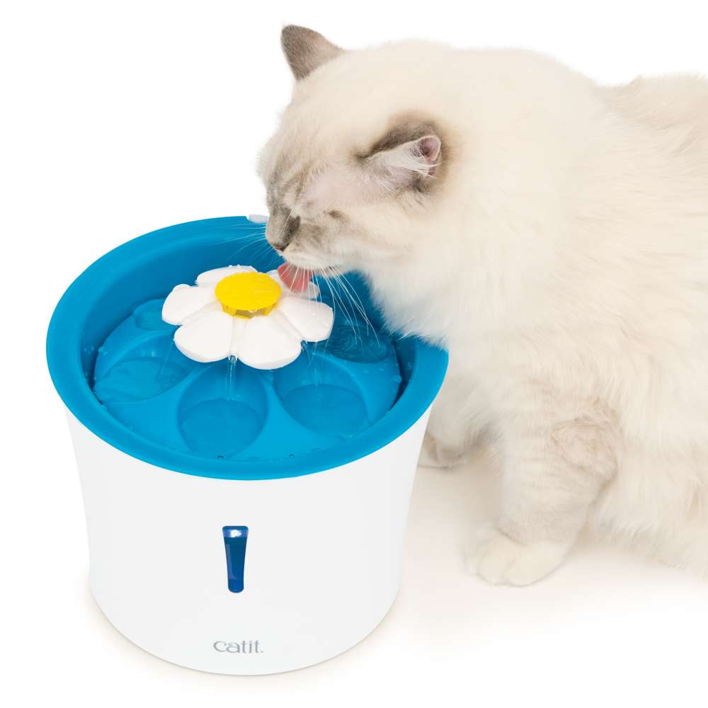 Catit LED Flower Water Drinking Fountain