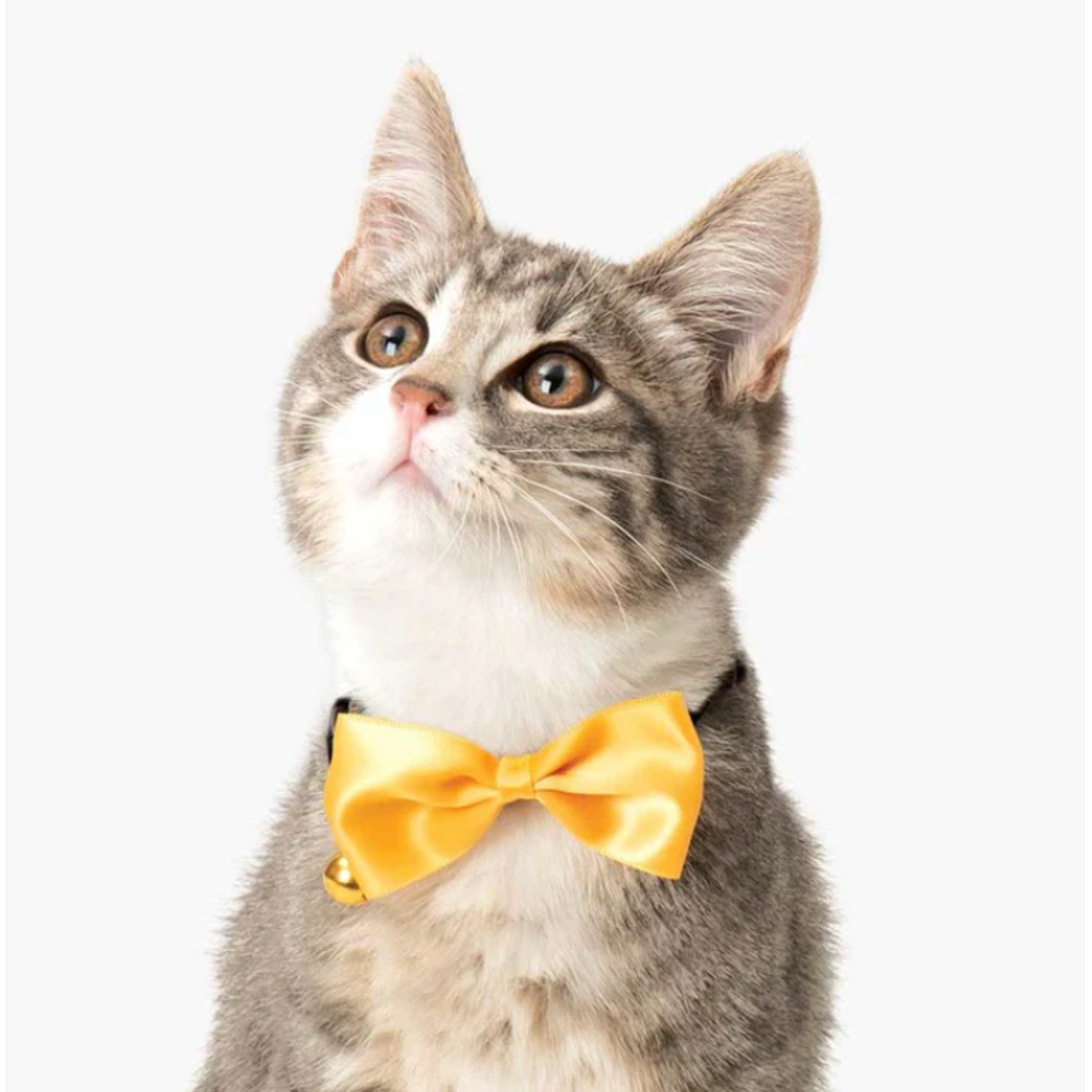 Catit Bow Tie Breakaway Collar