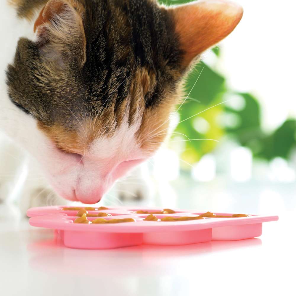 Catit Heart Shaped Silicone Ice Tray