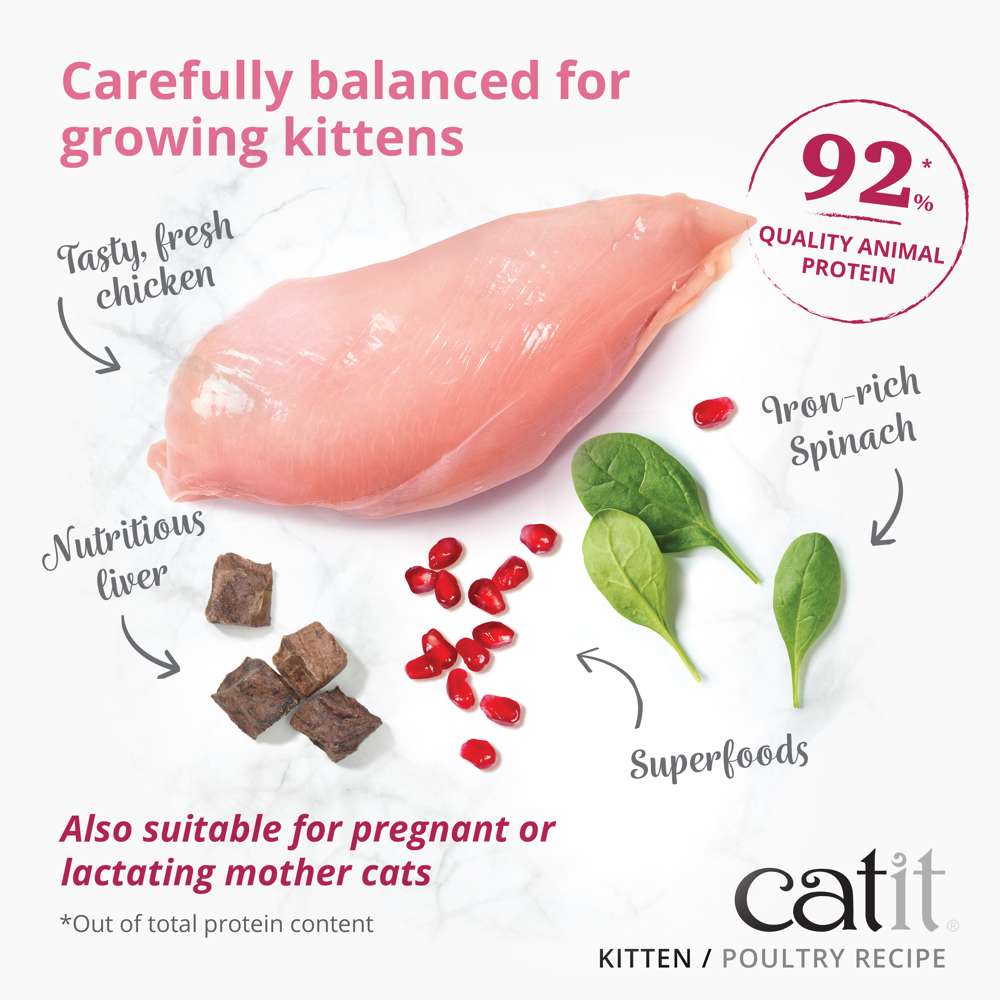Catit Recipes Kitten Dry Cat Food – Poultry recipe with fresh chicken, liver, spinach and superfoods, 92% animal protein