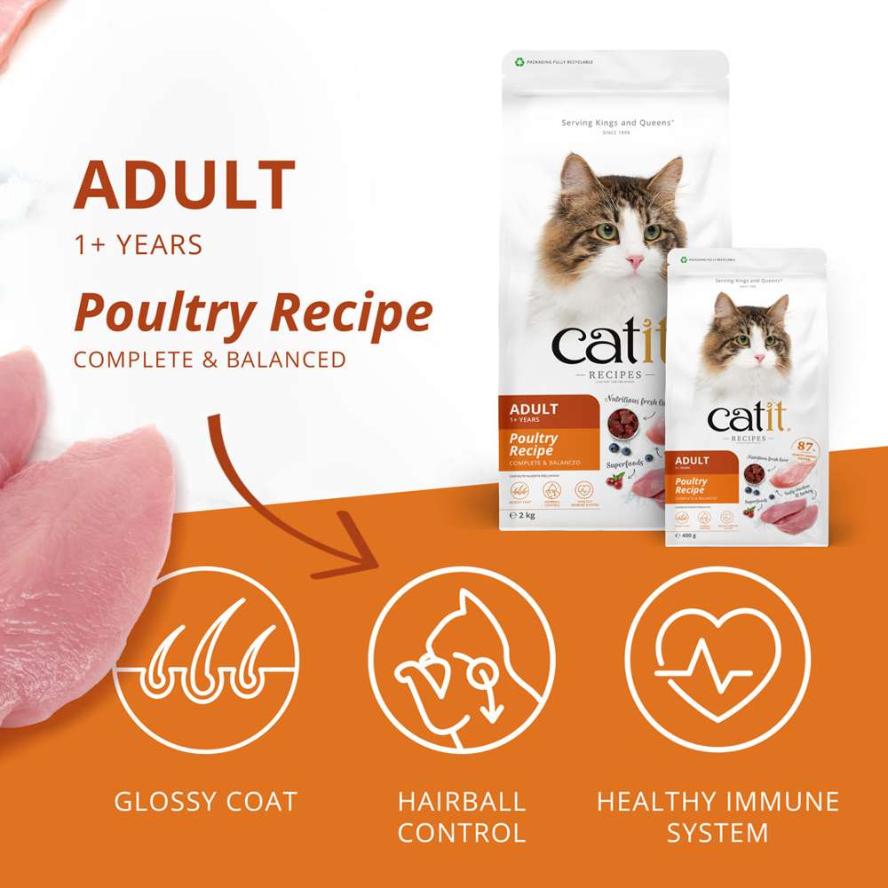 Catit Recipes Adult Poultry Dry Cat Food