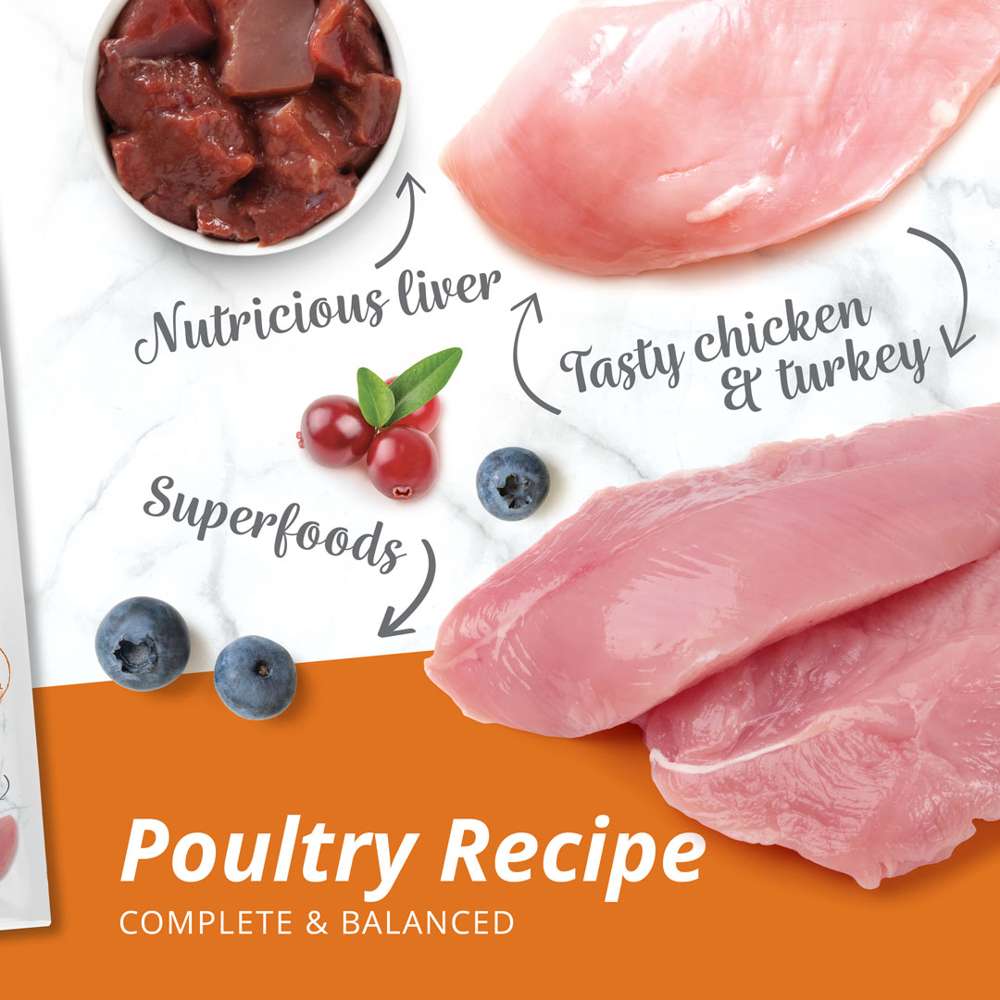 Catit Recipes Adult Poultry Dry Cat Food