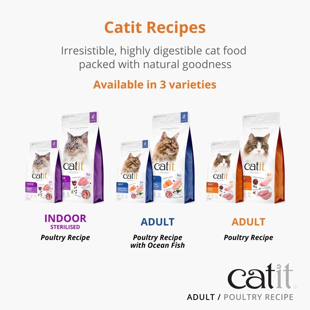 Catit Recipes Adult Poultry Dry Cat Food