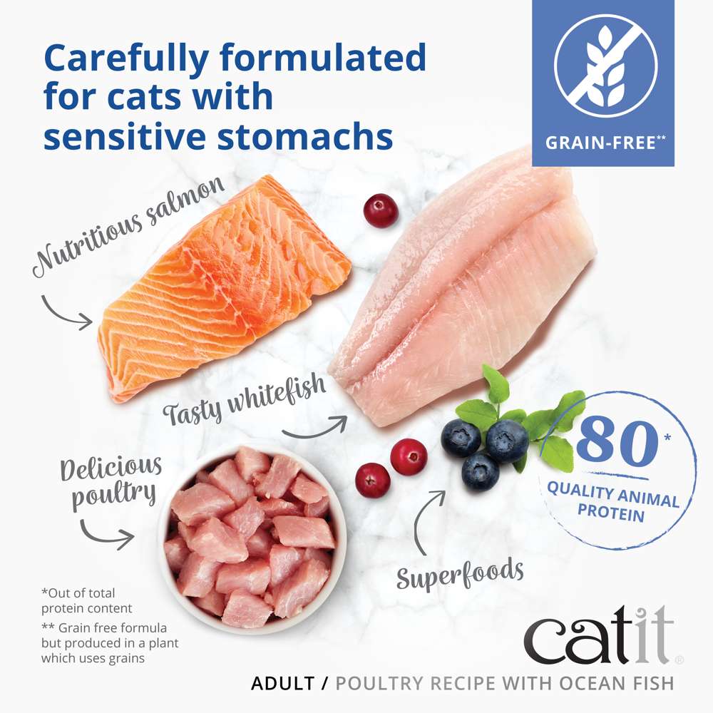 Catit Recipes Adult Poultry with Ocean Fish Dry Cat Food