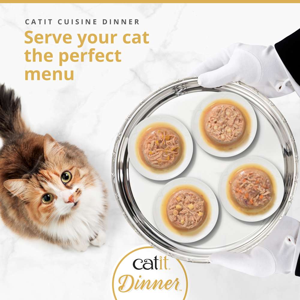 Catit Cuisine Chicken Dinner
