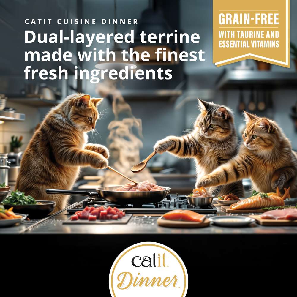 Catit Cuisine Chicken Dinner