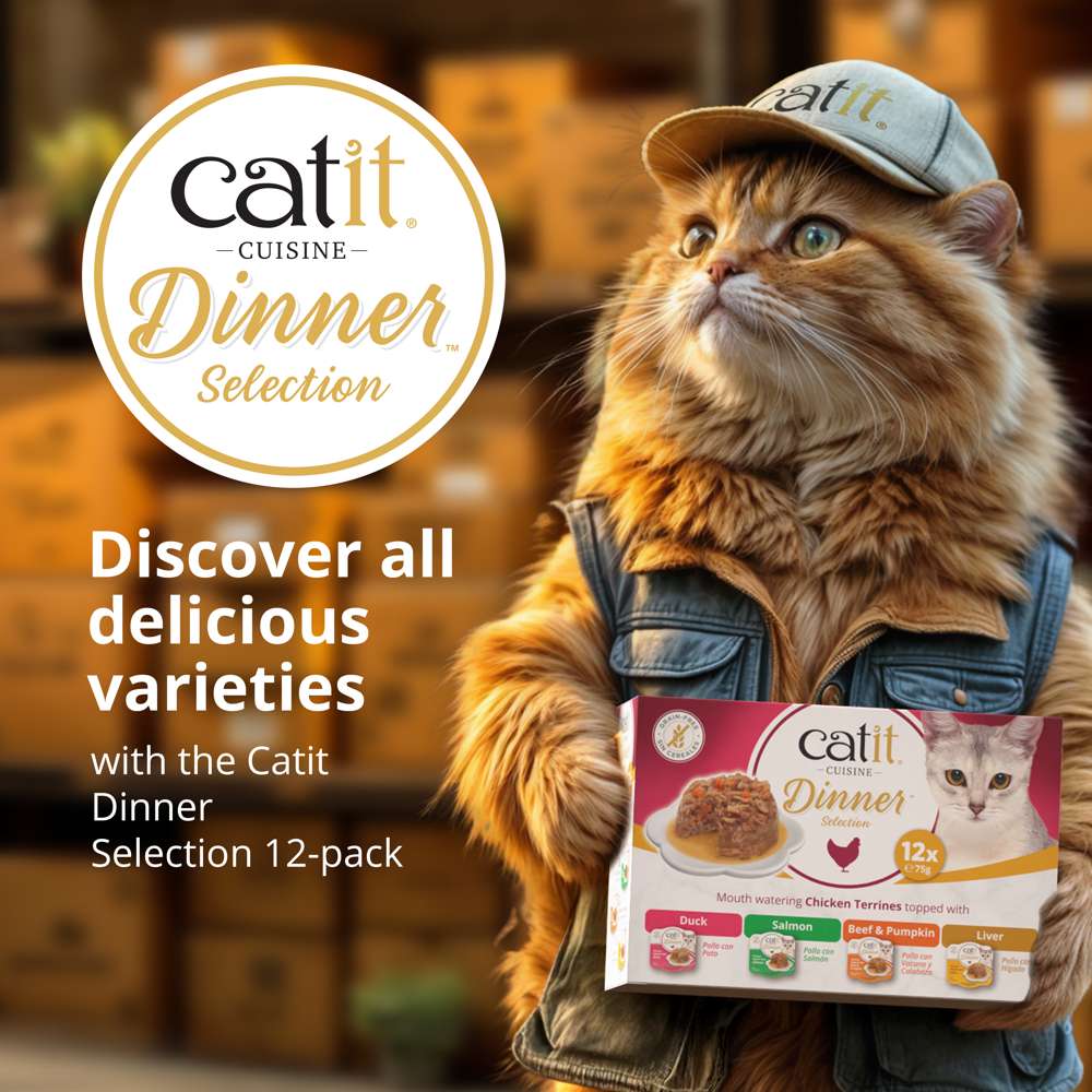 Catit Cuisine Chicken Dinner