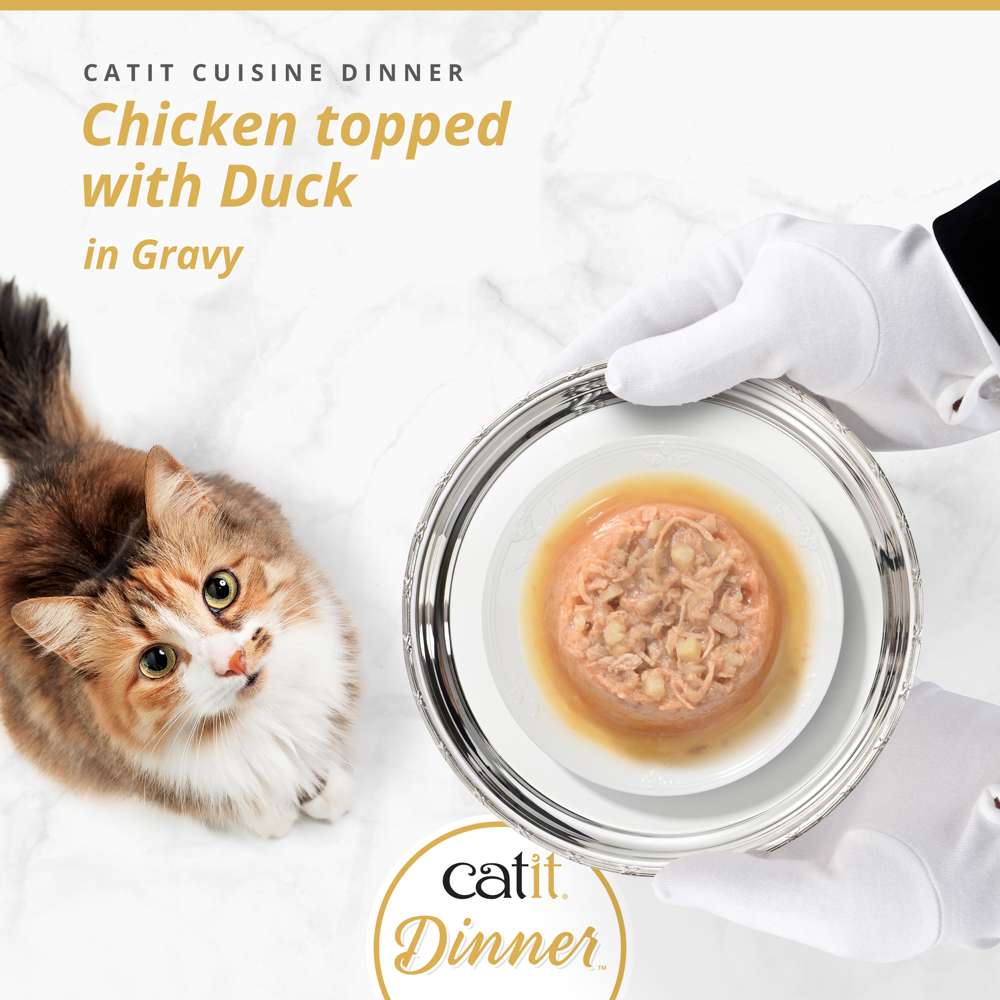 Catit Cuisine Chicken Dinner