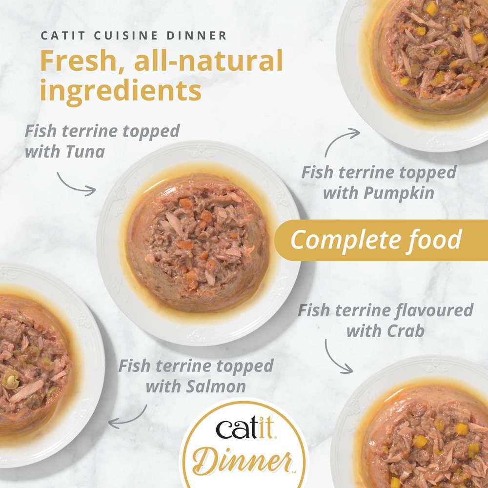 Catit Cuisine Fish Dinner