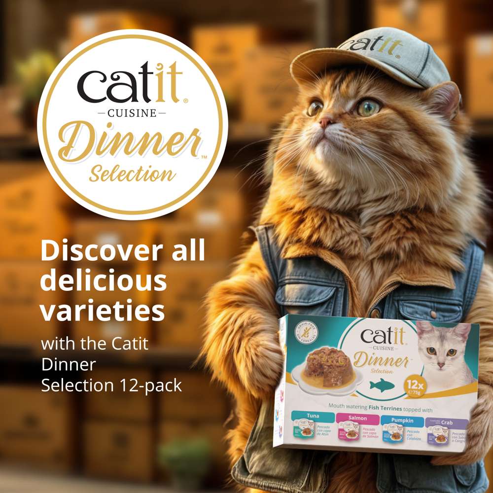 Catit Cuisine Fish Dinner