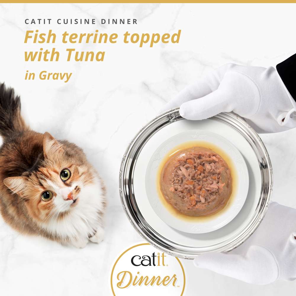 Catit Cuisine Fish Dinner