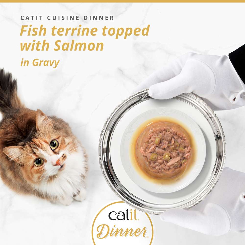 Catit Cuisine Fish Dinner