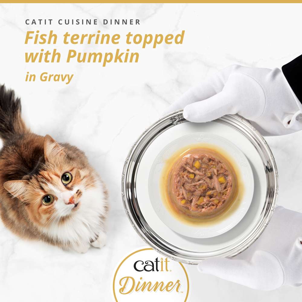 Catit Cuisine Fish Dinner