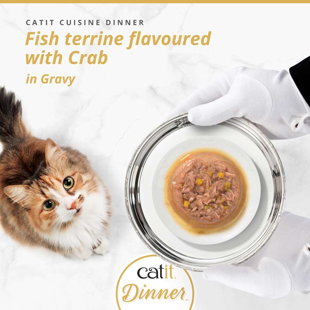 Catit Cuisine Fish Dinner