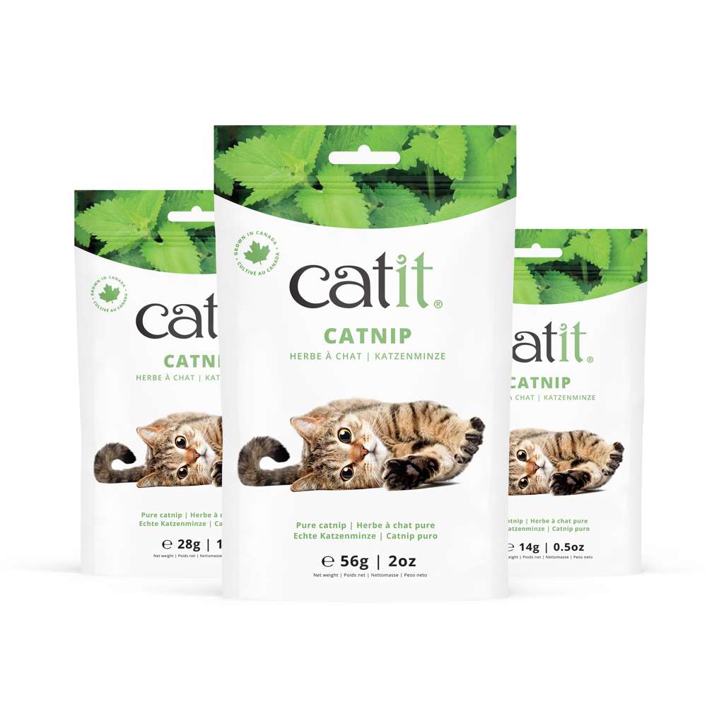 Catit Play & Scratch Essentials Box