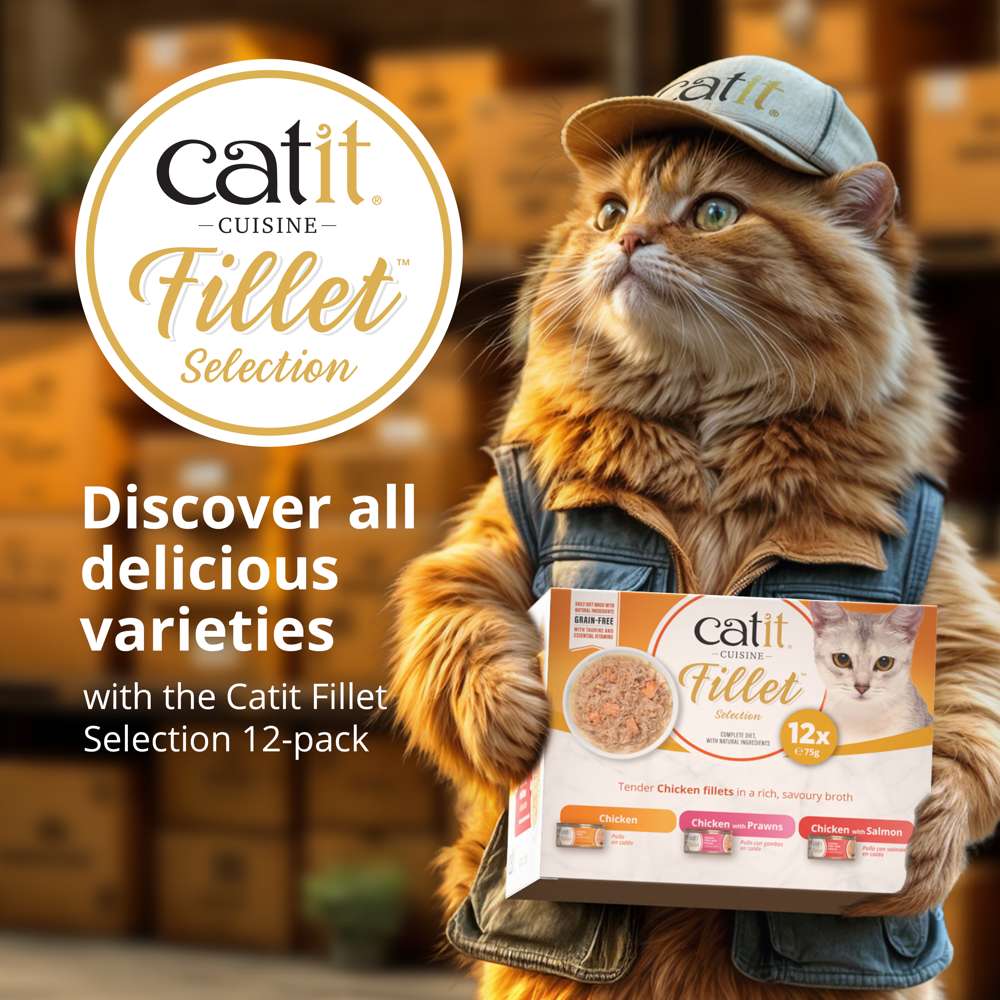 Catit Cuisine Fillet Chicken