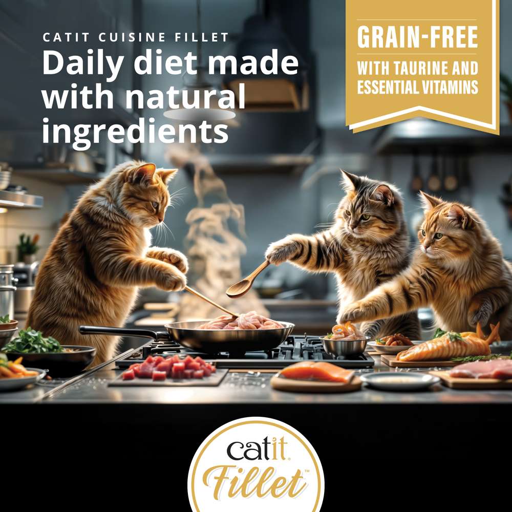 Catit Cuisine Fillet Tuna