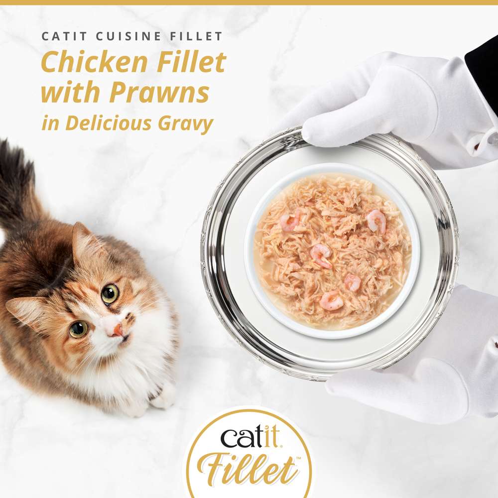 Catit Cuisine Fillet Chicken