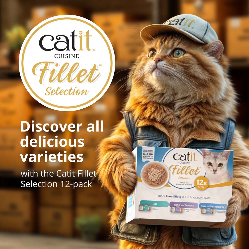 Fillet in Broth Variety Pack (Chicken or Fish)