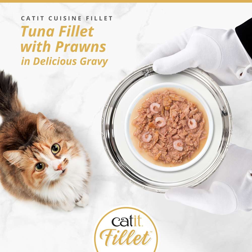Catit Cuisine Fillet Tuna