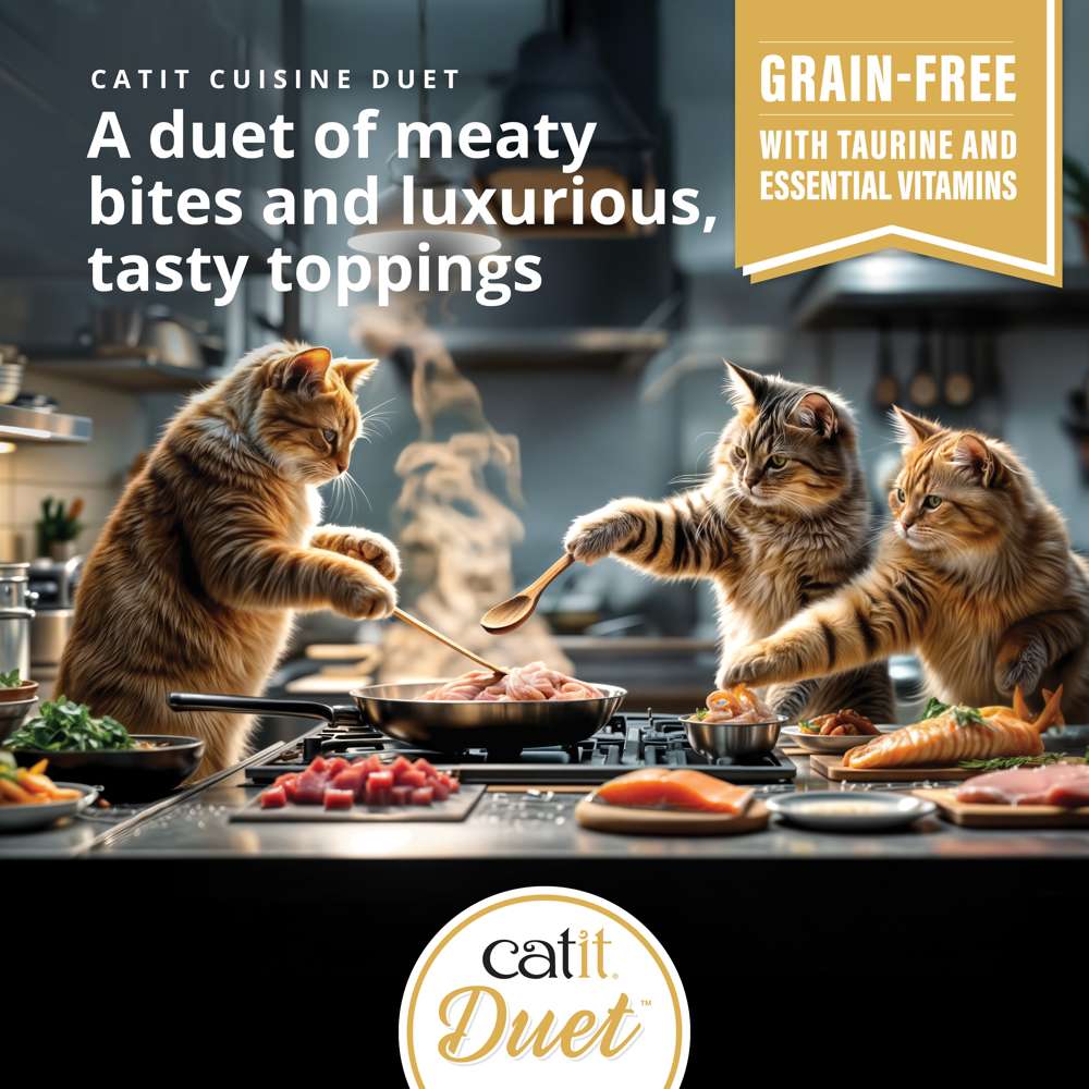 Catit Cuisine Duet - Meaty Bites with Toppings in Gravy - 12 x 75g Variety Pack