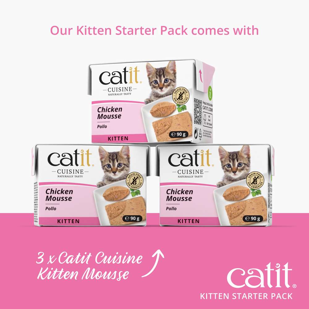 Kitten Starter Box