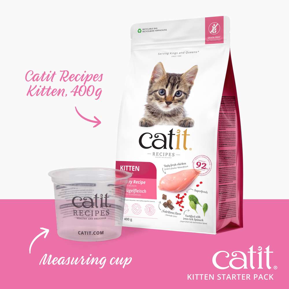 Kitten Starter Box