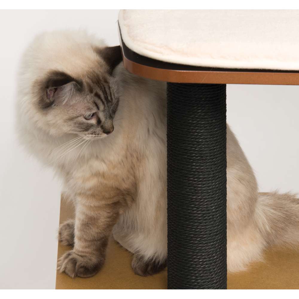 Catit Vesper High Base Black