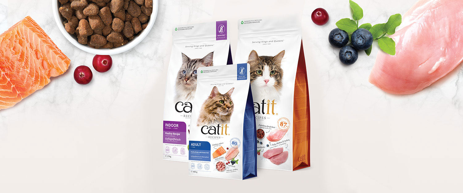 Catit Recipes – Catit UK - Official Catit Brand Store