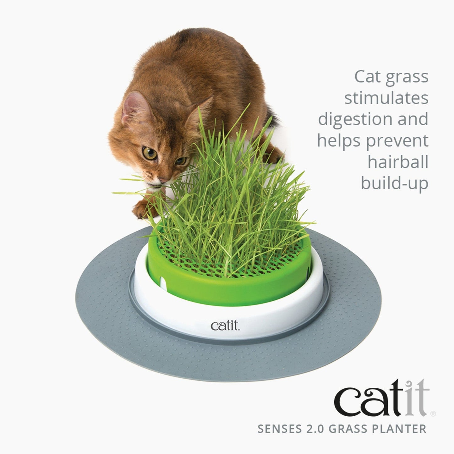 Catit Senses Grass Planter