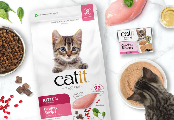 Catit UK | Premium Cat Food, Treats, Litter & Fountains – Catit UK ...
