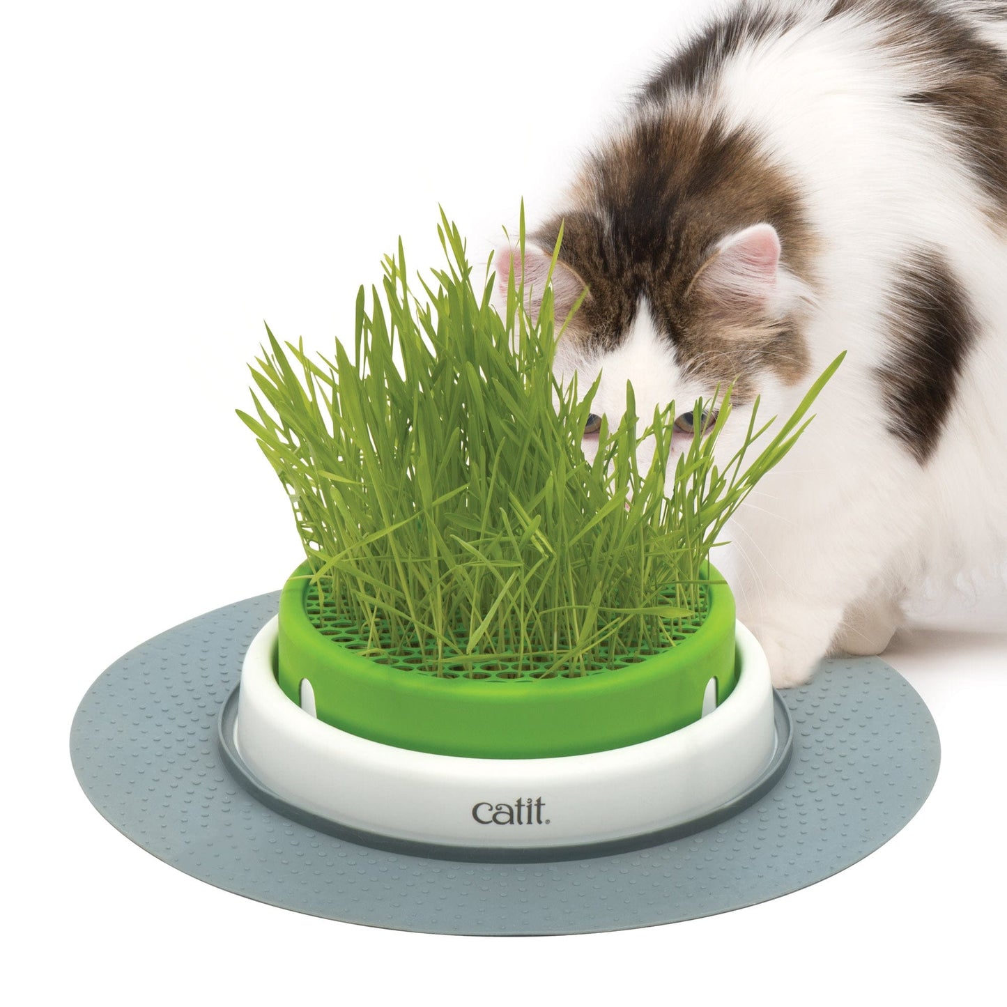 Catit Senses Grass Planter