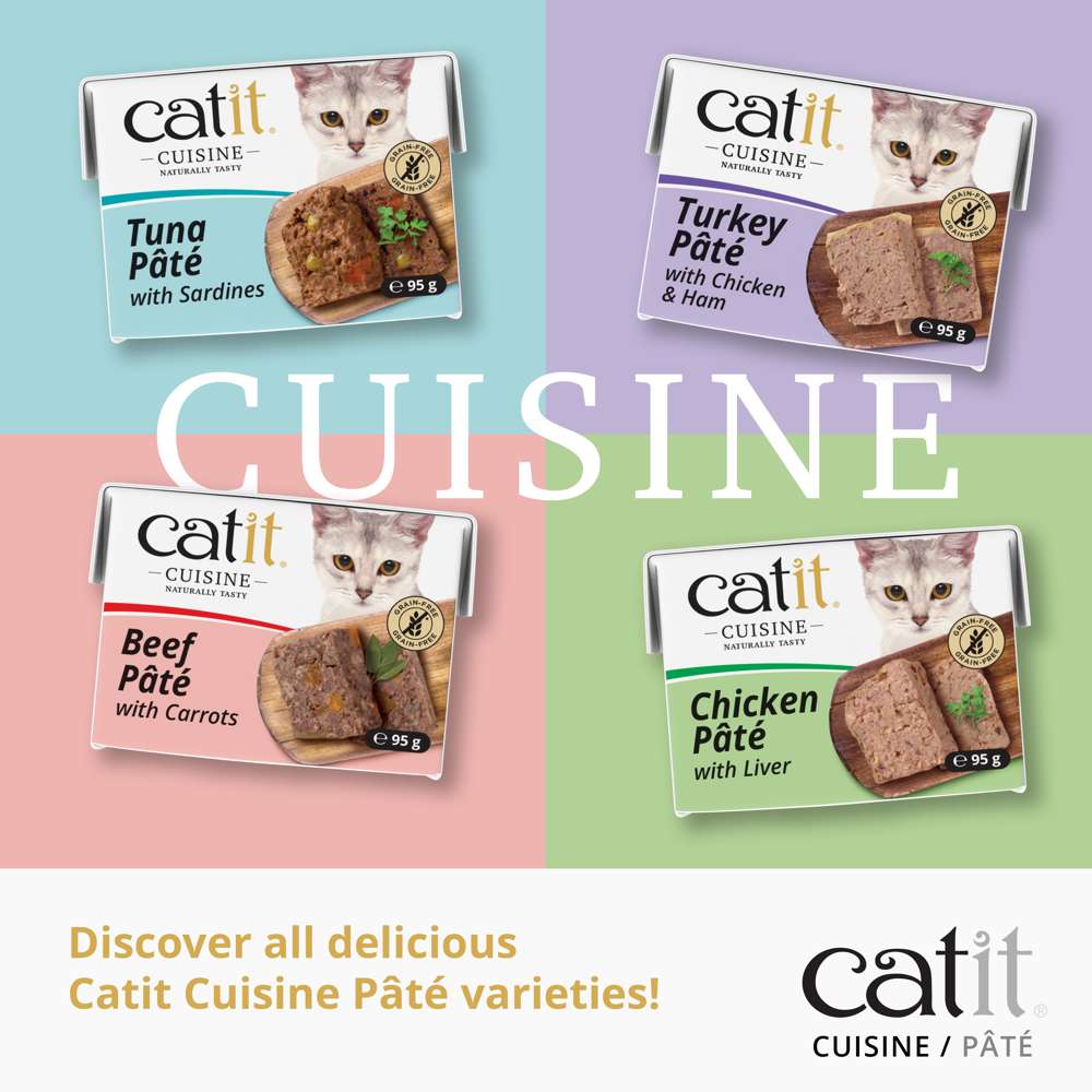 Catit Cuisine Pate