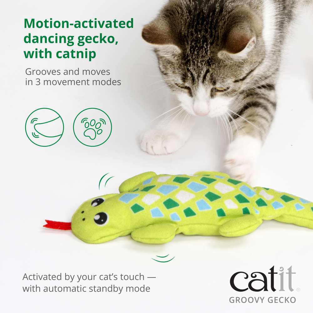 Catit Groovy Gecko