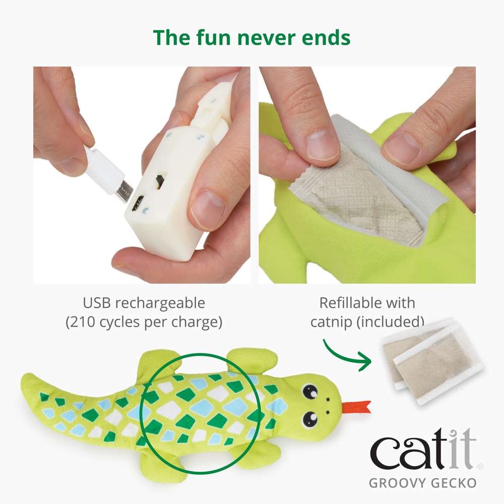 Catit Groovy Gecko