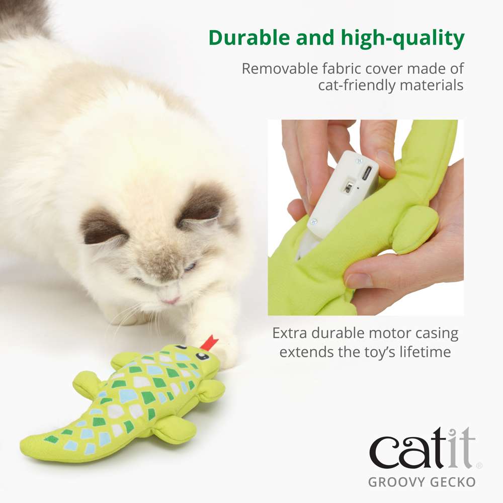 Catit Groovy Gecko