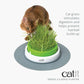 Catit Senses Cat Grass Planter