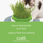 Catit Senses Cat Grass Planter