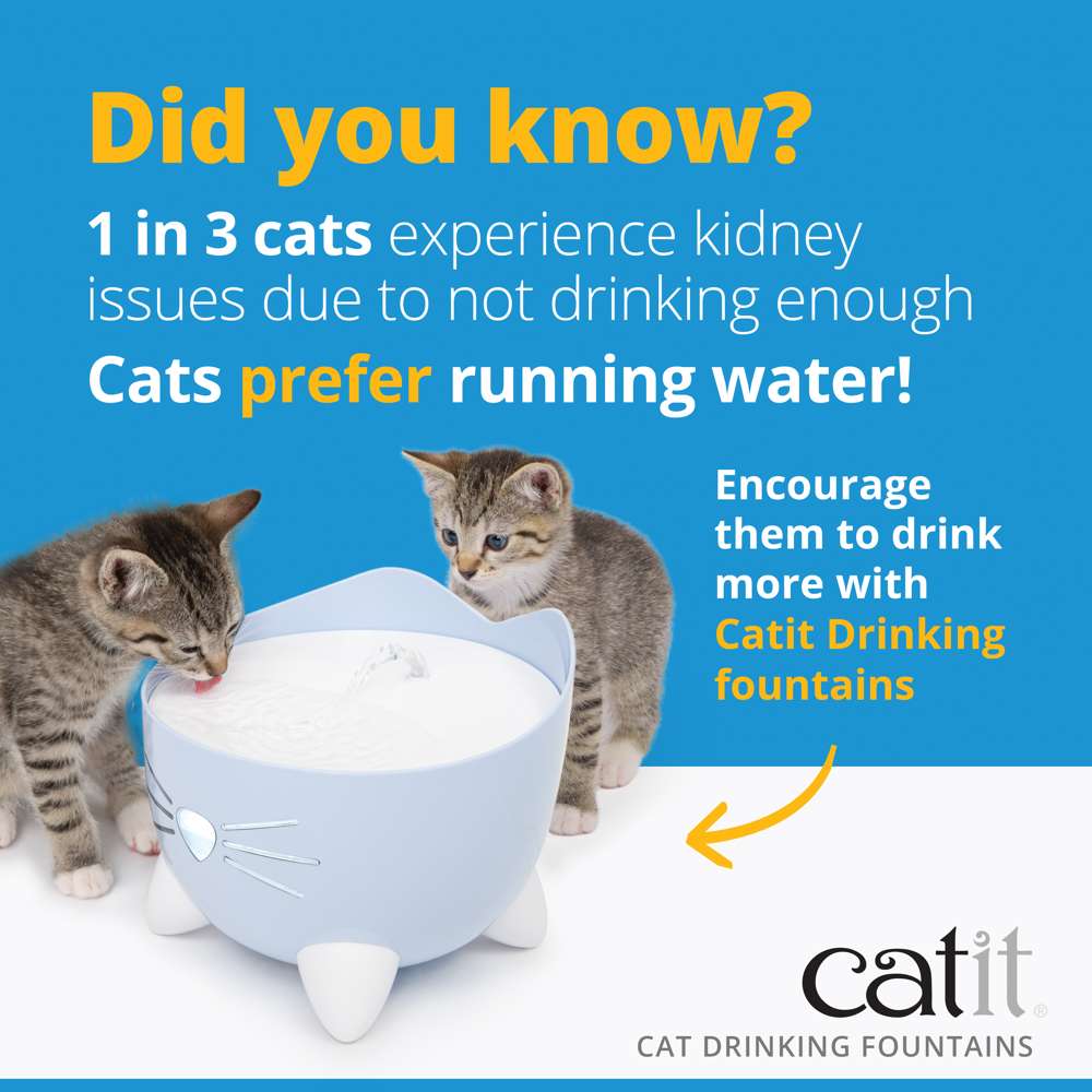 Catit PIXI Water Drinking Fountain