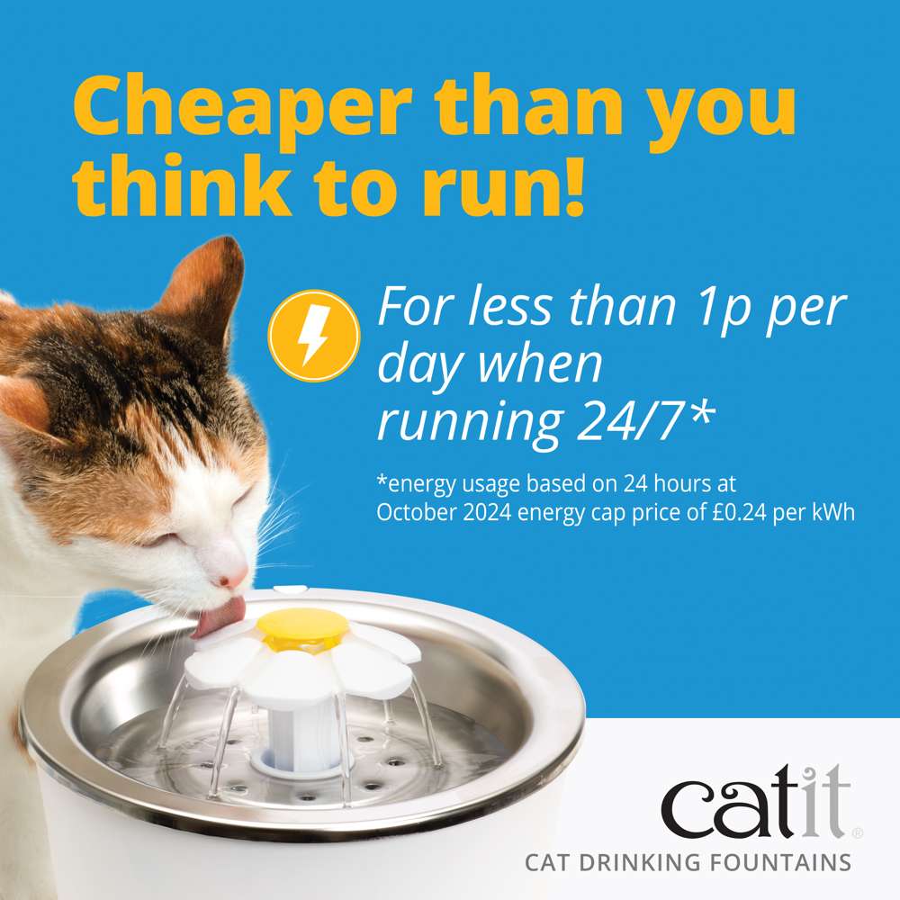 Catit PIXI Water Drinking Fountain