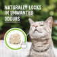 Catit Go Natural Pea Husk Clumping Cat Litter
