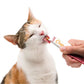 Creamy Lickable Treats 80 Pack