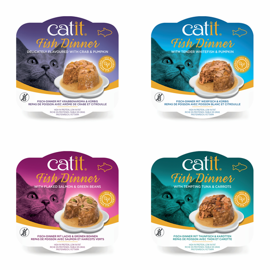 Catit Fish Dinner