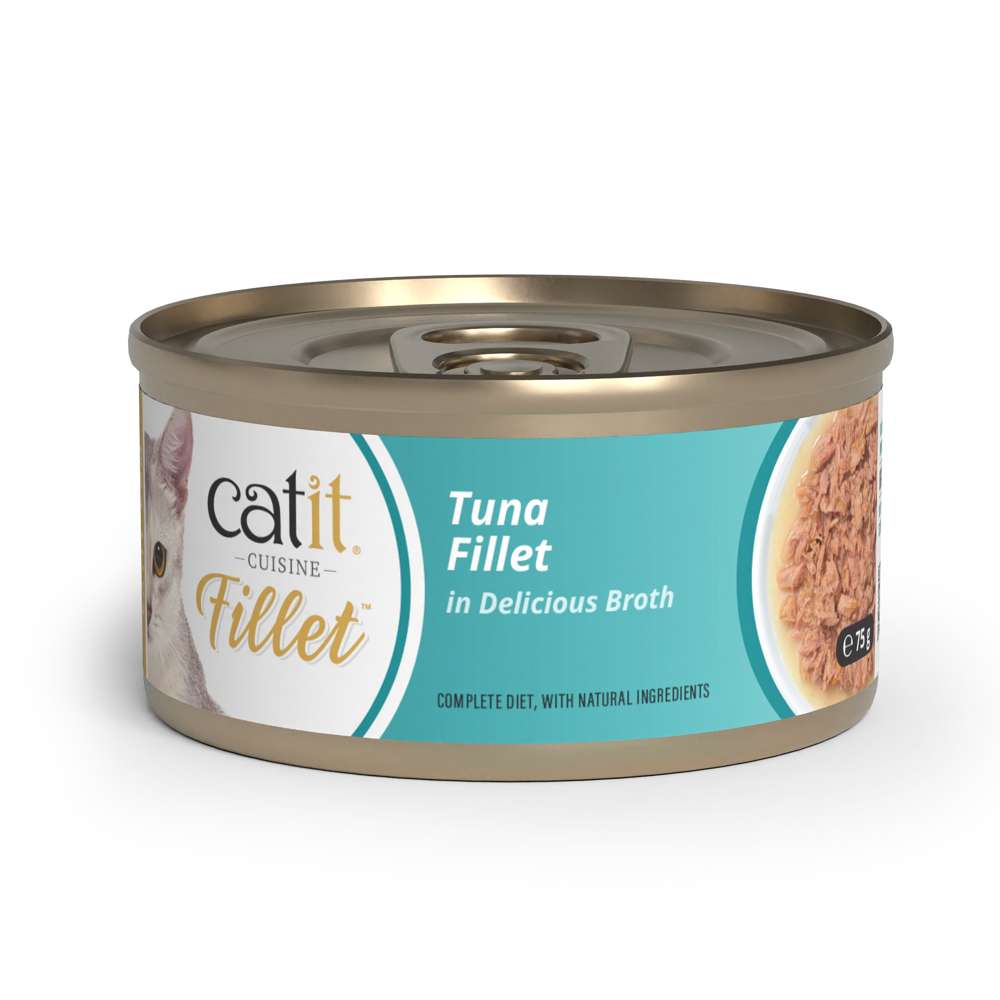 Tuna Fillet in Broth