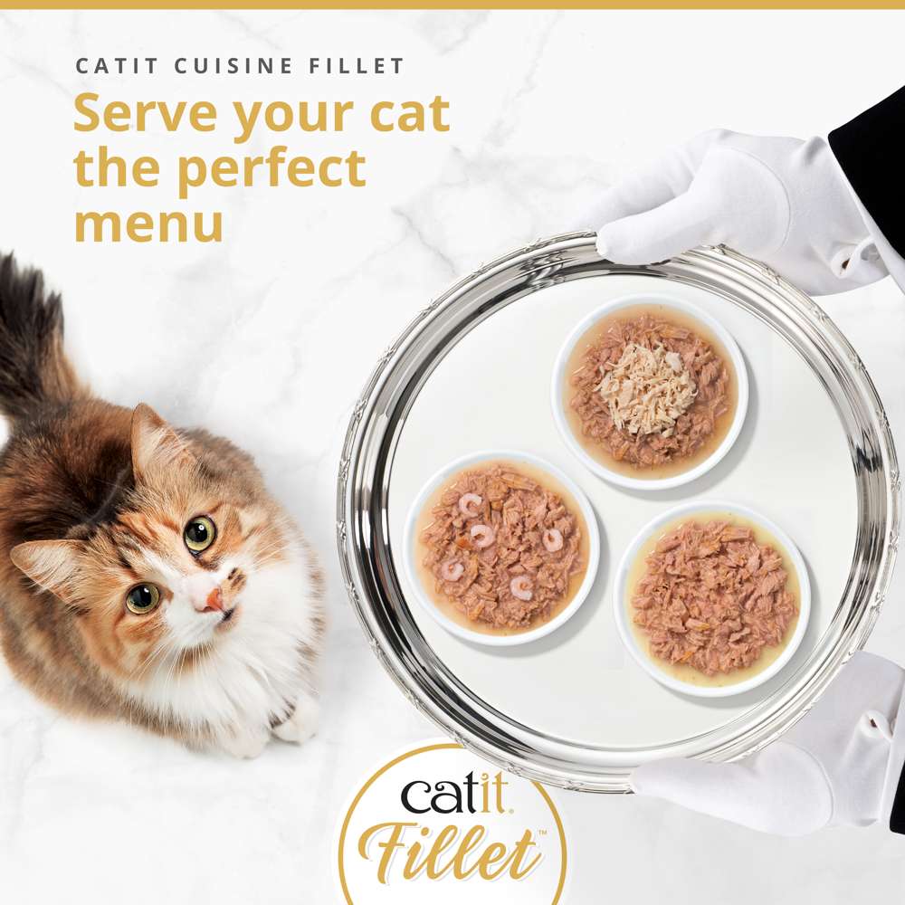 Fillet in Broth Variety Pack (Chicken or Fish)